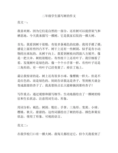 二年级学生描写树的作文