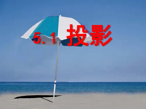 北师大版九年级数学上册投影课件