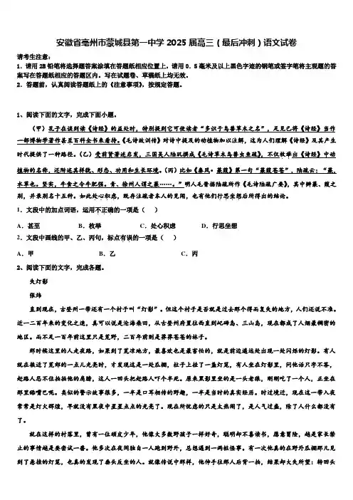 安徽省亳州市蒙城县第一中学2025届高三(最后冲刺)语文试卷含解析