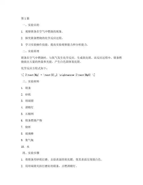 演示镁条实验报告(3篇)