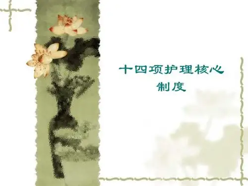 十四项护理核心制度 PPT课件