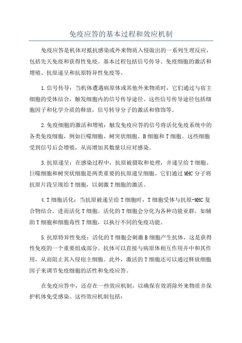 免疫应答的基本过程和效应机制