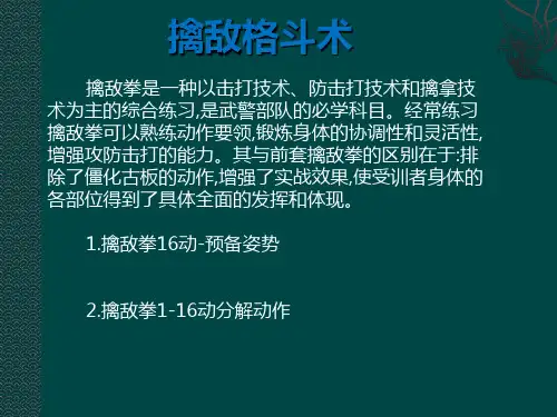 PPT擒敌拳格斗PPT讲解学习