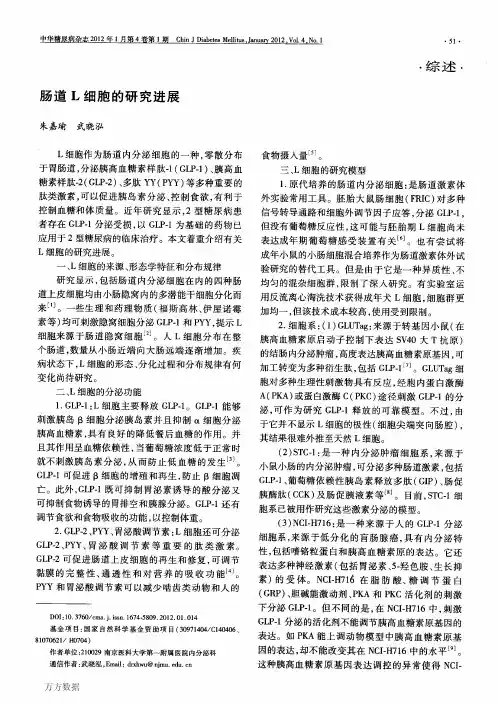 肠道L细胞的研究进展