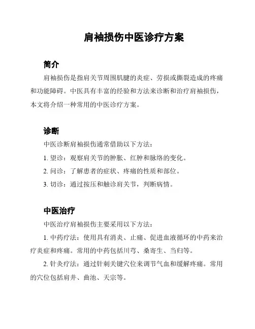 肩袖损伤中医诊疗方案