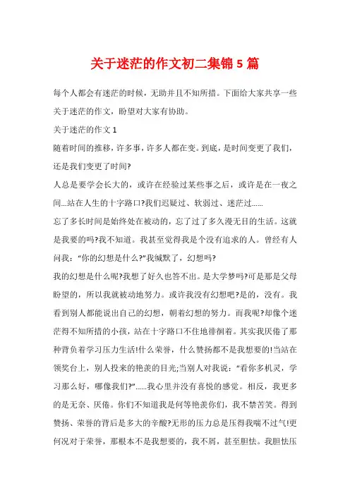 关于迷茫的作文初二集锦5篇