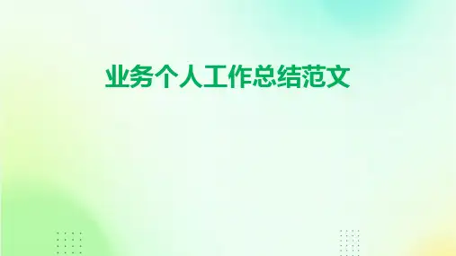 业务个人工作总结范文PPT