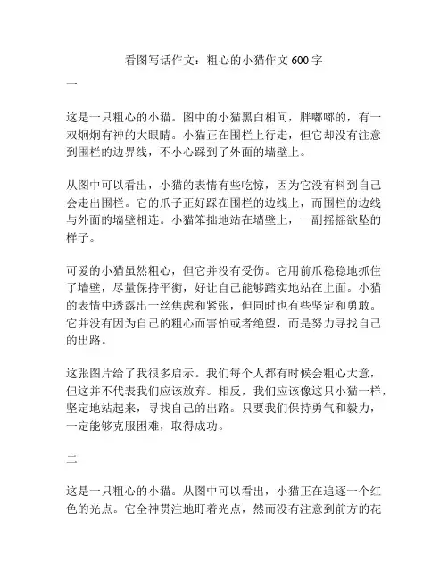 看图写话作文：粗心的小猫作文600字
