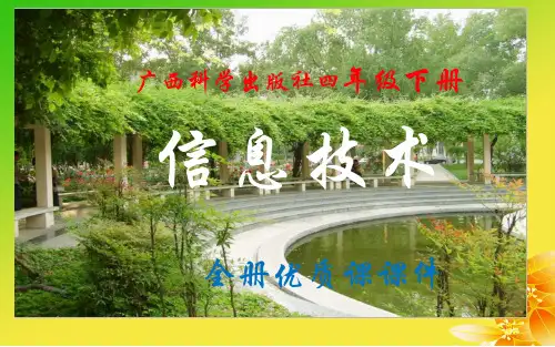 广西科学出版社《信息技术》四年级下册全册优质课件