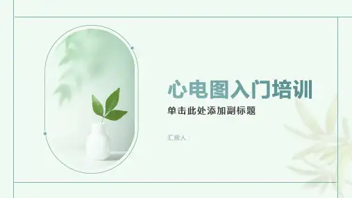 心电图入门培训