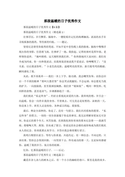 那段温暖的日子优秀作文