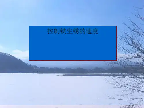 四年级下册科学课件2.7控制铁生锈的速度｜教科版(共14张PPT)