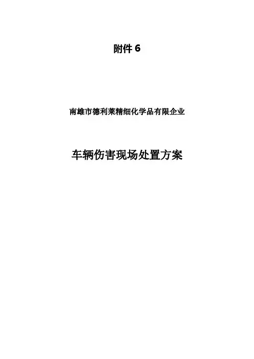 车辆伤害现场处置方案