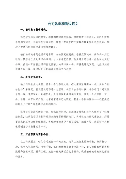 公司认识和看法范文