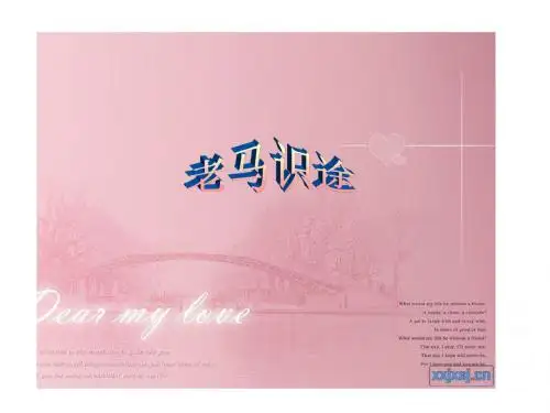老马识途