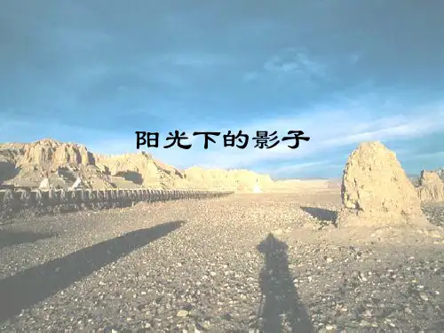 小学科学阳光下的影子精品PPT课件