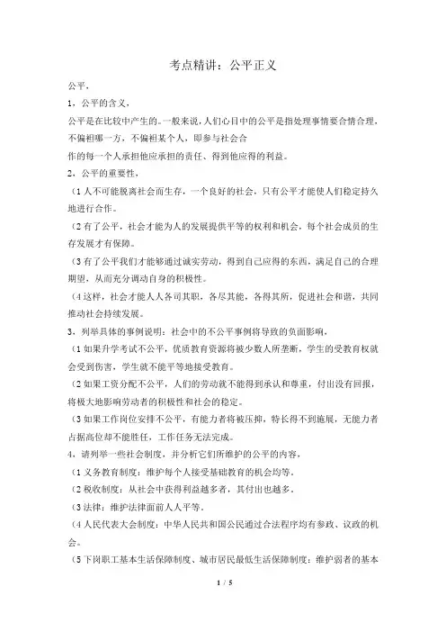 考点精讲：公平正义