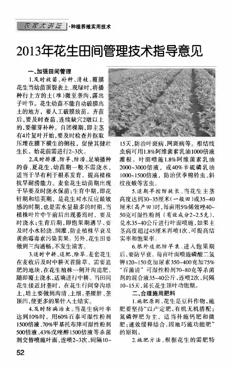2013年花生田间管理技术指导意见