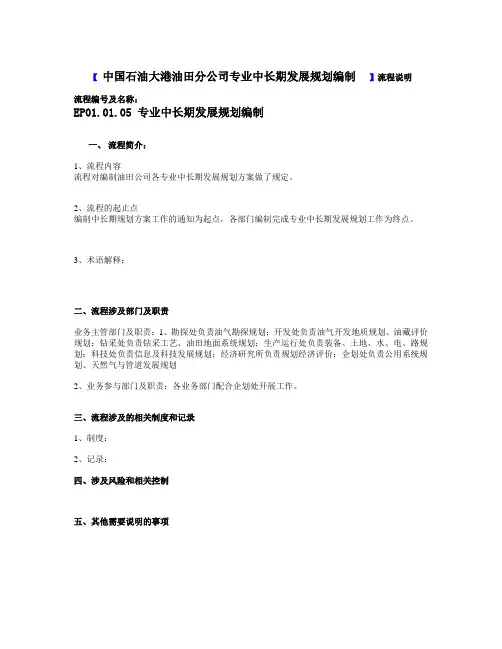 专业中长期规划编制描述