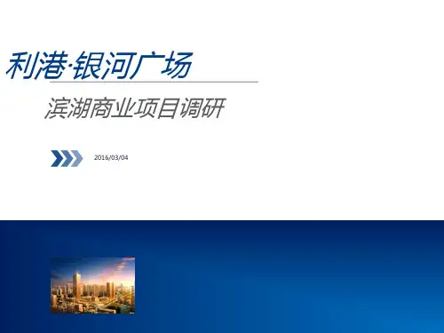 2016年合肥滨湖商业项目市场调研报告_利港·银河广场