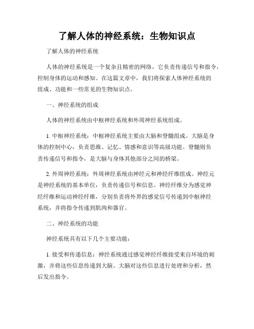 了解人体的神经系统：生物知识点