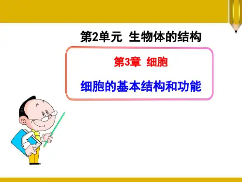 《细胞的基本结构和功能》PPT课件教学课件