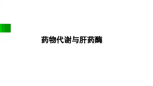 7-药物代谢与肝药酶