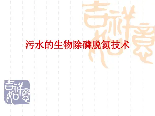 污水的生物除磷脱氮技术