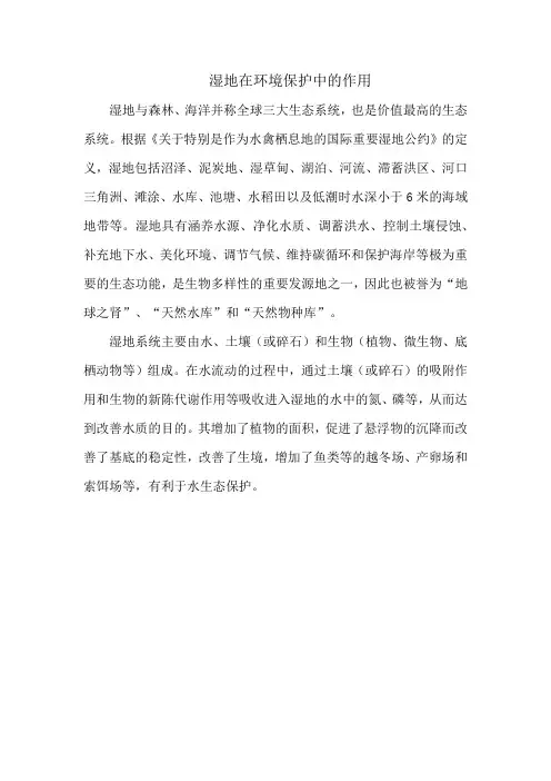 湿地在环境保护中的作用