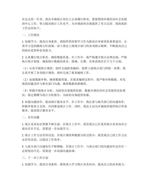 乡镇统计个人工作总结
