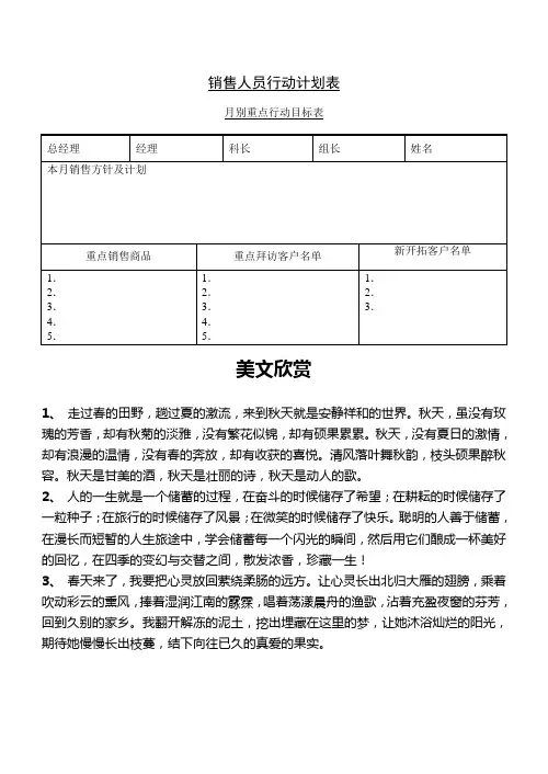 销售人员行动计划表