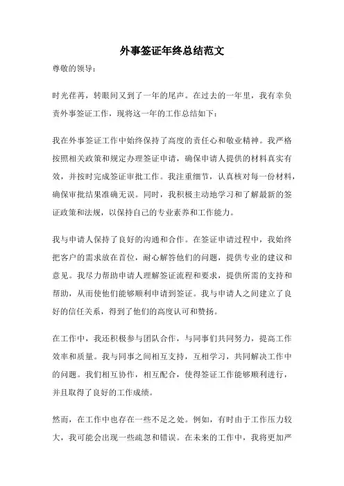 外事签证年终总结范文