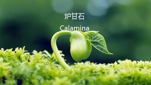 矿物类药材—石膏、芒硝、炉甘石等(天然药物学课件)