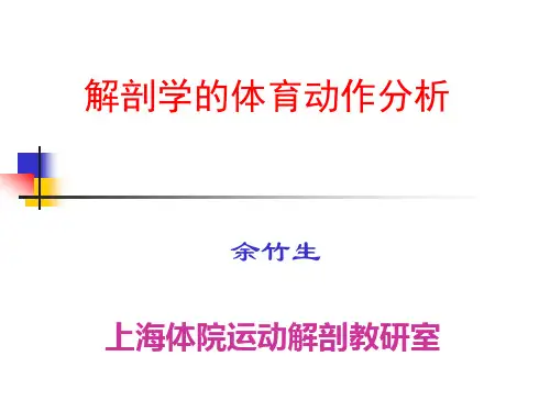 动作分析理论