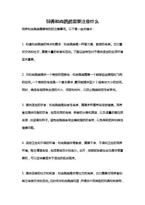 饲养和尚鹦鹉需要注意什么