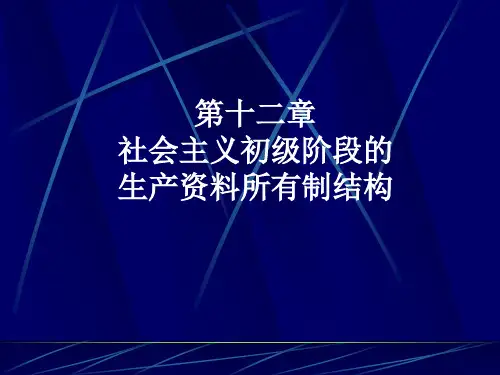 社会主义初级阶段的生产资料所有制结构
