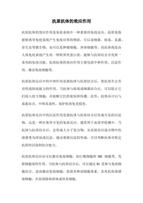 抗原抗体的效应作用