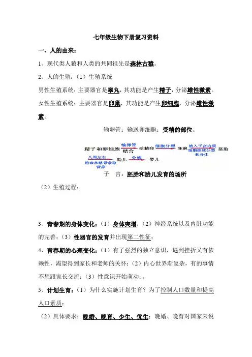 七年级生物下册期末复习资料
