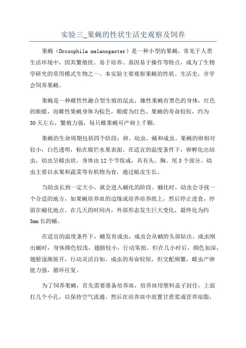 实验三_果蝇的性状生活史观察及饲养