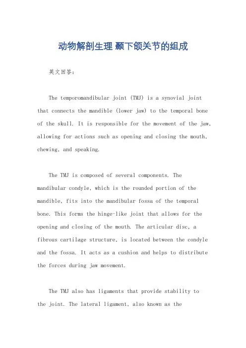 动物解剖生理 颞下颌关节的组成