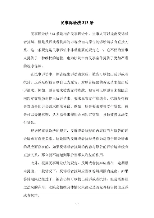 民事诉讼法313条