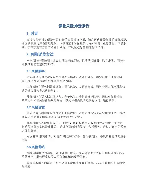 保险风险排查报告