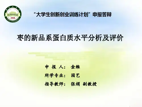 塔里木大学大学生创新创业项目申报答辩1