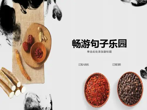反问句与陈述句PPT