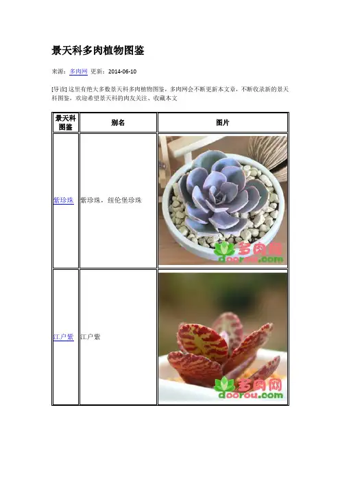 景天科多肉植物图鉴