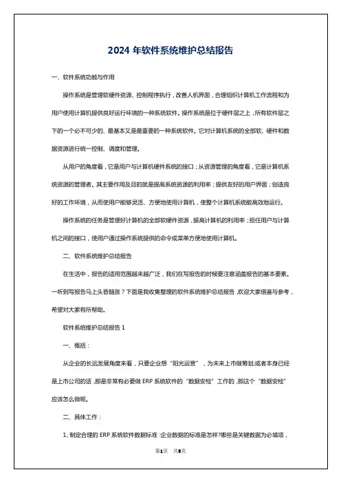 2024年软件系统维护总结报告