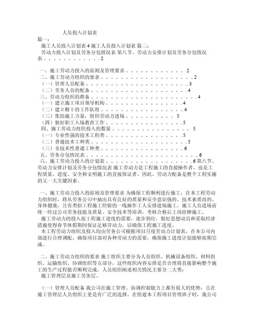 人员投入计划表