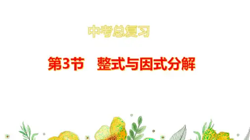3.整式与因式分解复习课件  2024年九年级中考数学复习(20张PPT)
