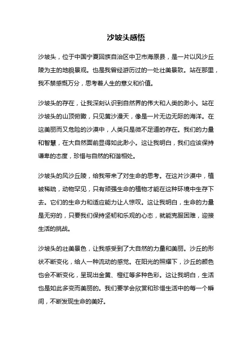 沙坡头感悟