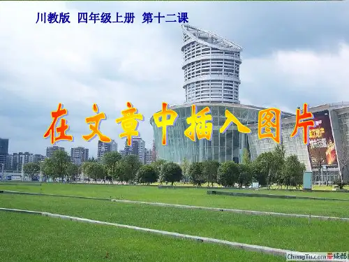四年级上册信息技术课件-14在文章中插入图片-川教版共12张PPT